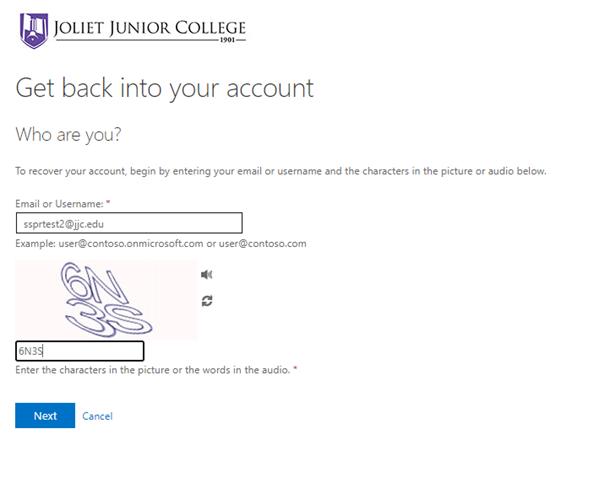 Enter your JJC email and then enter the CAPTCHA challenge. Click next.