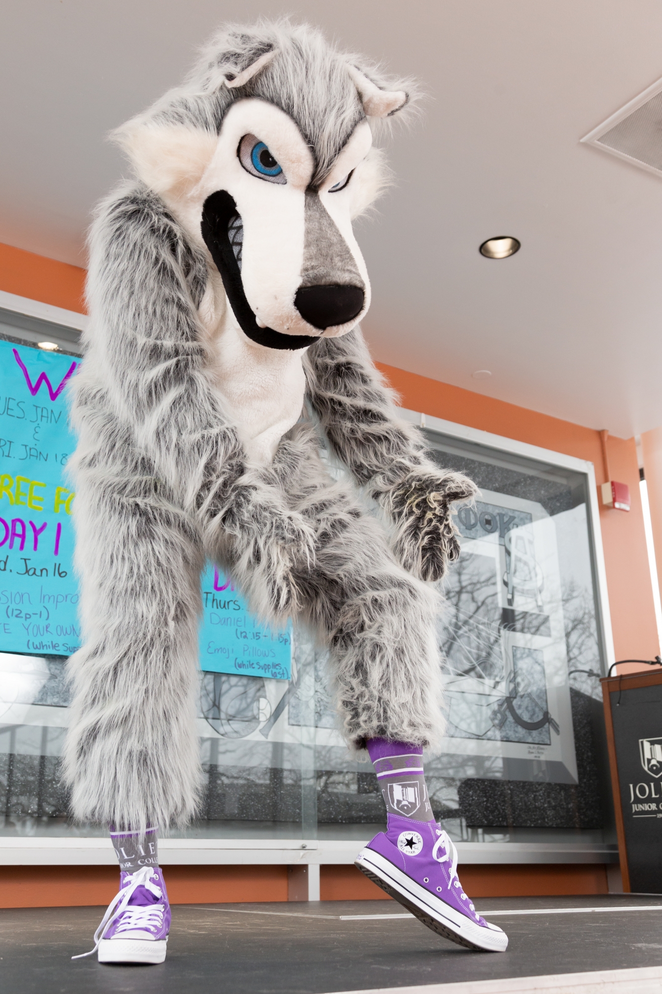 Wiley Wolf wearing JJC socks