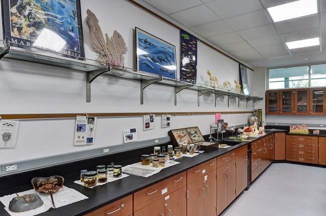 Natural Sciences classroom