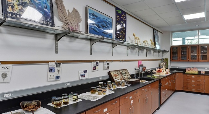 Natural Sciences Classroom