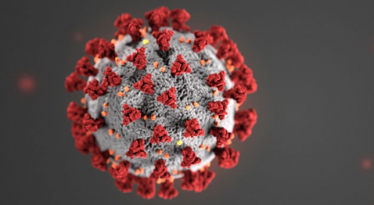 coronavirus update