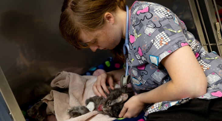 student taking care of cat