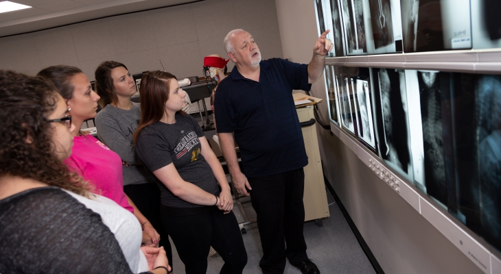 students looking at x-rays