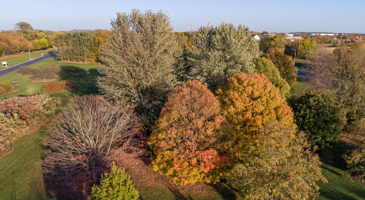 arboretum view from drone