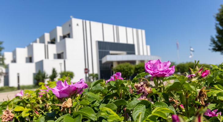 a building with flowers