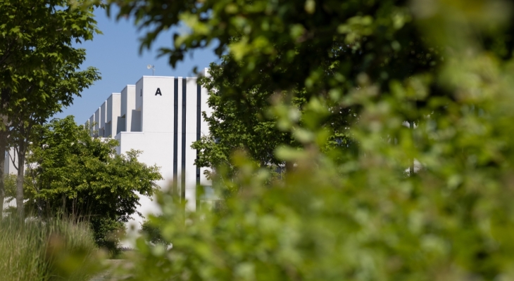 A Building peeking through trees/leaves/branches