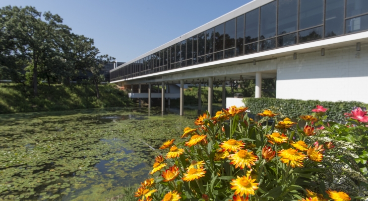 Bridge flowers